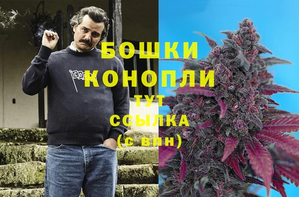 spice Абаза