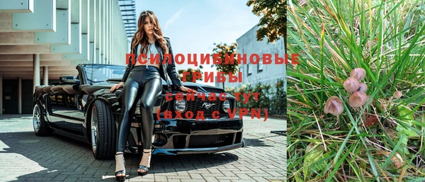 spice Абаза