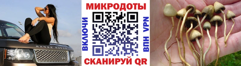 продажа наркотиков  Невельск  Галлюциногенные грибы ЛСД 